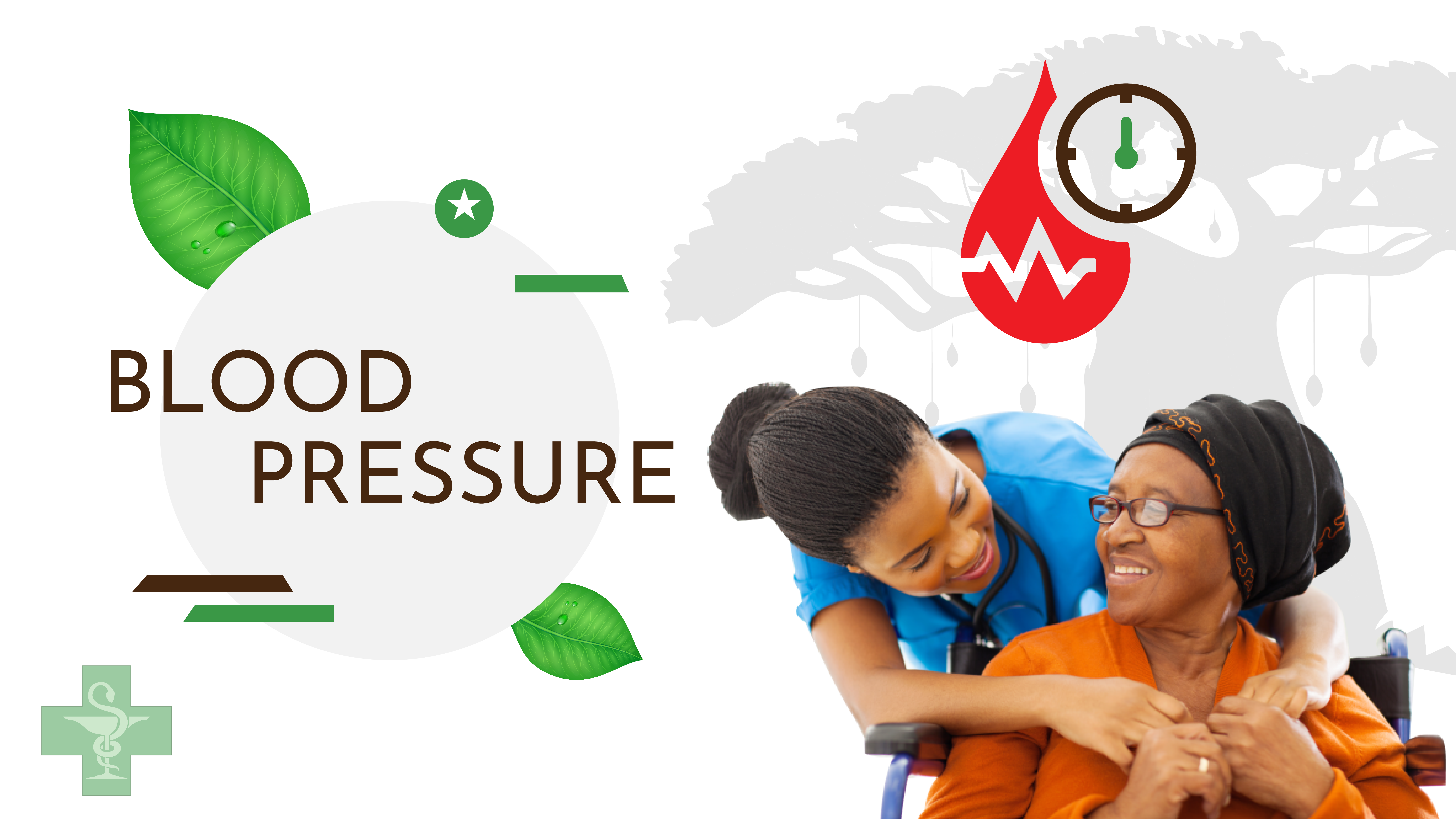 Baobab BLOOD PRESSURE